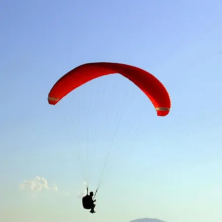 فندق مبيت وإفطار Rita And Family Loceri