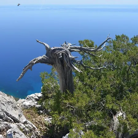 Rita And Family فندق مبيت وإفطار 4*