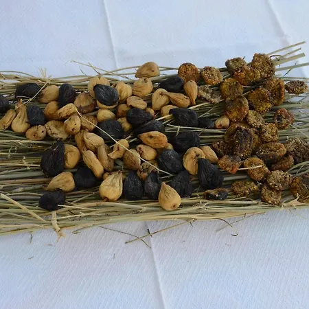 فندق مبيت وإفطار Rita And Family