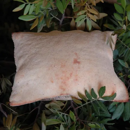 Rita And Family 4* Loceri