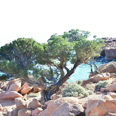 Rita And Family فندق مبيت وإفطار 4*