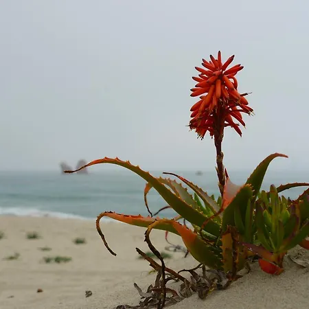 Rita And Family 4* Loceri